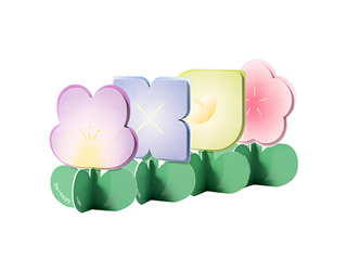 得力Deli NUSIGN立體花朵造型便條紙